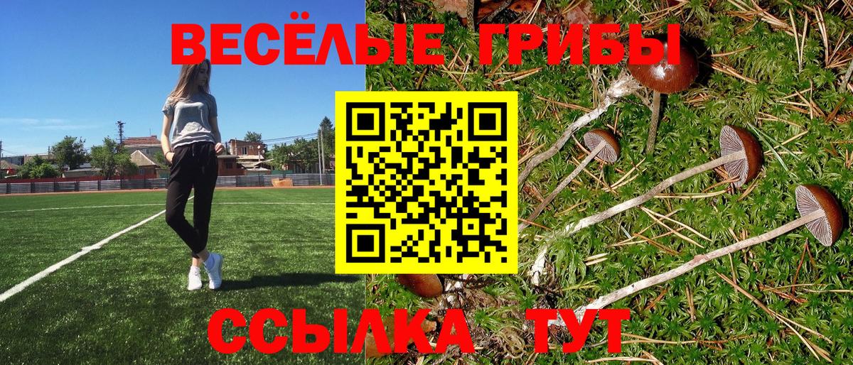 Галлюциногенные грибы Cubensis Шарыпово